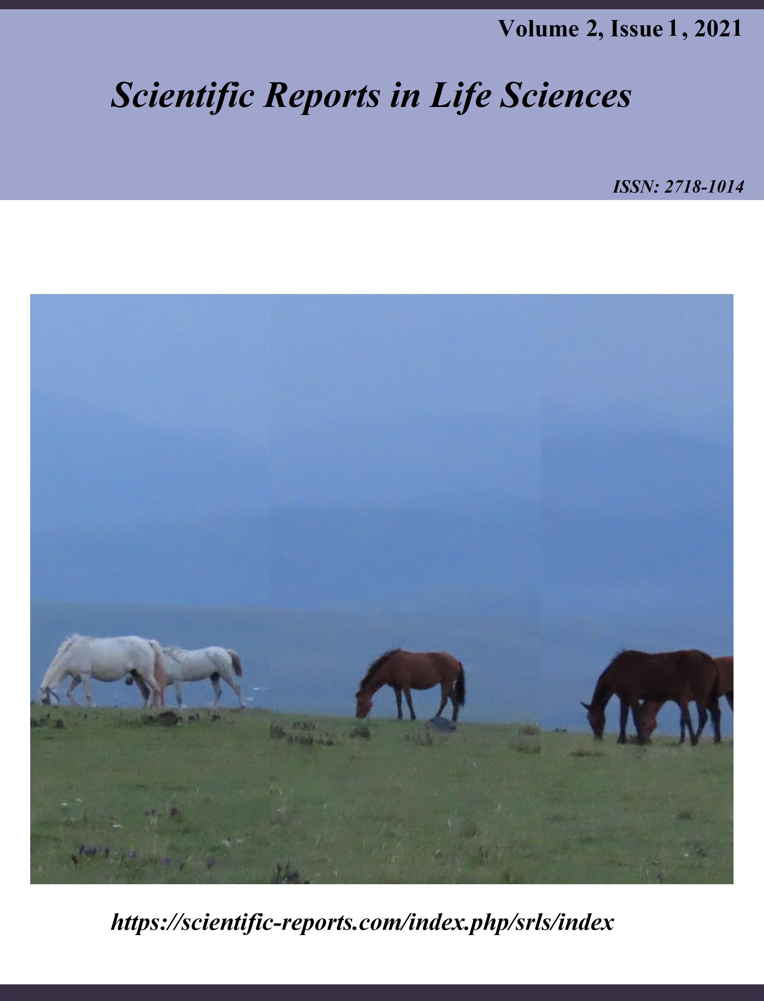 					View Vol. 2 No. 1 (2021): Scientific Reports in Life Sciences
				