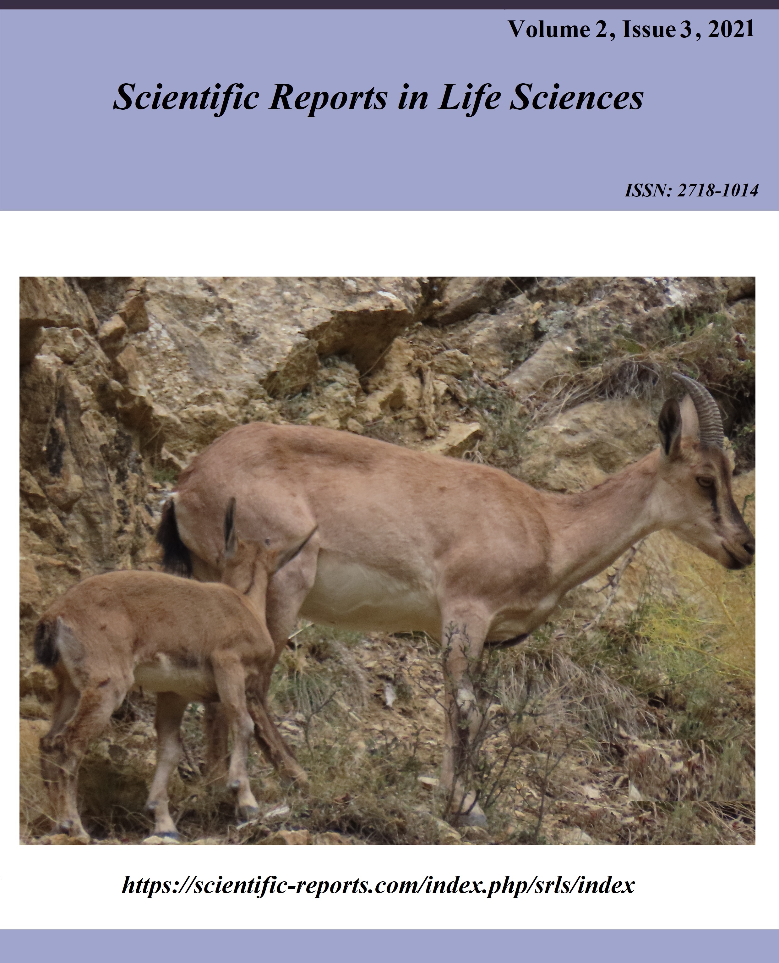 					View Vol. 2 No. 3 (2021): Scientific Reports in Life Sciences
				